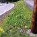 Myrtle Creek, Oregon project led by The Painted Lady, near I-5