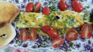 Fresh tomatoes and farm fresh eggs served on classic china -