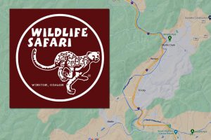 Wildlife Safari